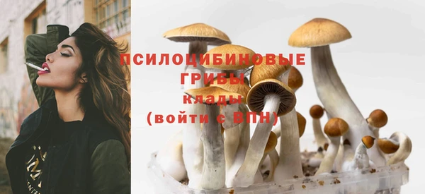 дмт Долгопрудный